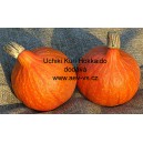 Tykev velkoplod&aacute; Uchiki Kuri Hokkaido