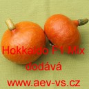 Tykev velkoplod&aacute; hybridn&iacute; Hokkaido F1 Mix