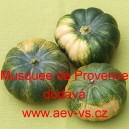 Tykev pižmov&aacute; mu&scaron;k&aacute;tov&aacute; Musquee de Provence