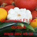 Tykev hybridn&iacute; Gourmand F1 Mix