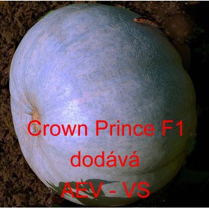 Tykev velkoplod&aacute; hybridn&iacute; Crown Prince F1