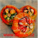 Tykev obecn&aacute; Bischofsm&uuml;tzen