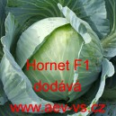 Zel&iacute; hl&aacute;vkov&eacute; b&iacute;l&eacute; hybridn&iacute; Hornet F1