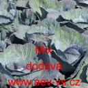 Zel&iacute; hl&aacute;vkov&eacute; červen&eacute; letn&iacute; Mix