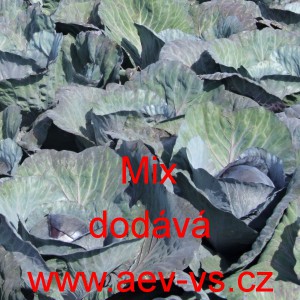 Zel&iacute; hl&aacute;vkov&eacute; červen&eacute; letn&iacute; Mix