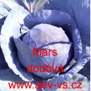 Zel&iacute; hl&aacute;vkov&eacute; červen&eacute; Mars