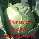 Zel&iacute; hl&aacute;vkov&eacute; b&iacute;l&eacute; Brunswick