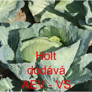 Zel&iacute; hl&aacute;vkov&eacute; b&iacute;l&eacute; Holt