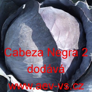 Zel&iacute; hl&aacute;vkov&eacute; červen&eacute; Cabeza Negra 2