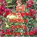 Hled&iacute;k vět&scaron;&iacute; Hohe Riesen Mischung