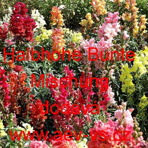 Hled&iacute;k vět&scaron;&iacute; Rainbow Mix 