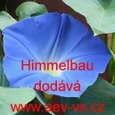 Pov&iacute;jnice trojbarv&aacute; Himmelblau