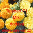 Aksamitn&iacute;k vzpř&iacute;men&yacute; Taishan F1 Mix
