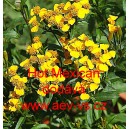 Aksamitn&iacute;k leskl&yacute; Hot Mexican