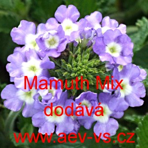 Spor&yacute;&scaron; zahradn&iacute;, zkř&iacute;žen&yacute; Mamuth Pro Mix