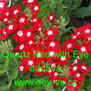 Spor&yacute;&scaron; zahradn&iacute;, zkř&iacute;žen&yacute; Quartz Red with Eye