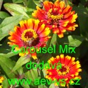 Ost&aacute;lka sličn&aacute;, lep&aacute; Carousel