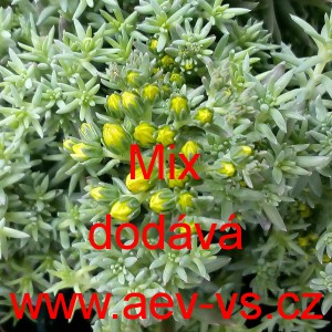 Rozchodn&iacute;k Mix