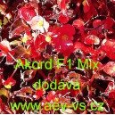 Kysala st&aacute;lekvetouc&iacute;, ledovka, beg&oacute;nie Akord F1 Mix