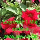 Pet&uacute;nie velkokvět&aacute; Express F1 Mix