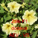 Pet&uacute;nie velkokvět&aacute; Z&aacute;ře F1