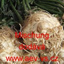 Celer bulvov&yacute; Mischung