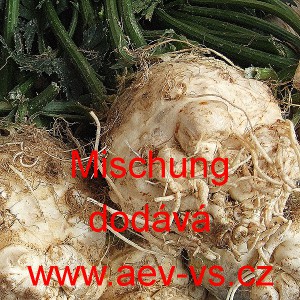 Celer bulvov&yacute; Sellerie Mischung
