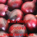 Cibule jarn&iacute; kuchyňsk&aacute; Red Baron