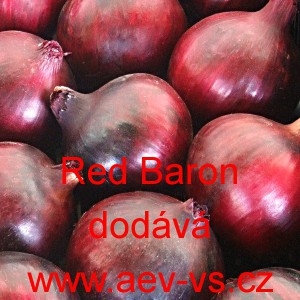 Cibule jarn&iacute; kuchyňsk&aacute; Red Baron