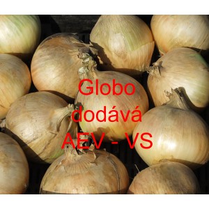 Cibule jarn&iacute; kuchyňsk&aacute; Globo