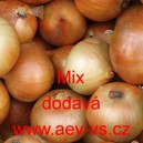 Cibule jarn&iacute; i ozim&aacute; kuchyňsk&aacute; Mix