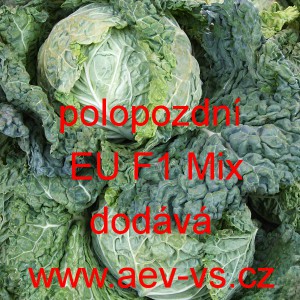 Kapusta hl&aacute;vkov&aacute; hybridn&iacute; polopozdn&iacute; EU F1 Mix