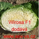 Kapusta hl&aacute;vkov&aacute; hybridn&iacute; Wirosa F1