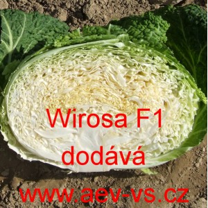Kapusta hl&aacute;vkov&aacute; hybridn&iacute; Wirosa F1