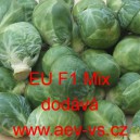 Kapusta růžičkov&aacute; hybridn&iacute; EU F1 Mix