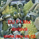 Květ&aacute;k hybridn&iacute; růžičkov&yacute; EU F1 Mix