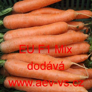 Mrkev obecn&aacute; hybridn&iacute; Nantes/Berlikum poloran&aacute; EU F1 Mix