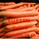Mrkev obecn&aacute; hybridn&iacute; Nantes/Berlikum polopozdn&iacute; EU F1 Mix
