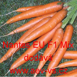 Mrkev obecn&aacute; hybridn&iacute; Nantes EU F1 Mix