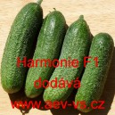 Okurka set&aacute; nakl&aacute;dačka hybridn&iacute; partenokarpick&aacute; Harmonie F1