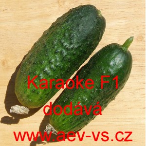 Okurka set&aacute; nakl&aacute;dačka hybridn&iacute; partenokarpick&aacute; Barytone F1 - Novinka