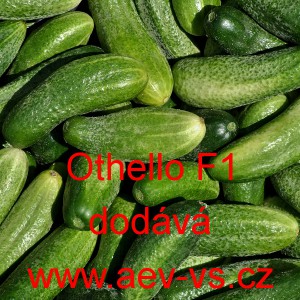 Okurka set&aacute; nakl&aacute;dačka hybridn&iacute; Othello F1 