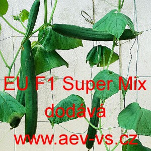 Okurka set&aacute; sal&aacute;tov&aacute; hybridn&iacute; "hadovka" do sklen&iacute;ku zahraničn&iacute; EU F1 Super Mix