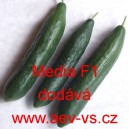 Okurka set&aacute; sal&aacute;tov&aacute; hybridn&iacute; "hadovka" do sklen&iacute;ku Media F1