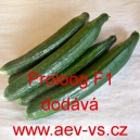 Okurka set&aacute; sal&aacute;tov&aacute; hybridn&iacute; "hadovka" do sklen&iacute;ku Proloog F1