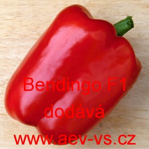 Paprika ročn&iacute; zeleninov&aacute; hybridn&iacute; Bendigo F1