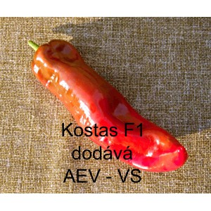 Paprika ročn&iacute; zeleninov&aacute; hybridn&iacute; Kostas F1