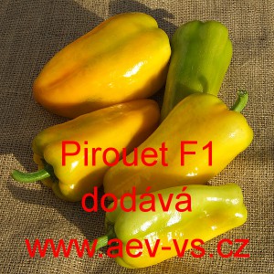 Paprika ročn&iacute; zeleninov&aacute; hybridn&iacute; Pirouet F1