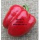 Paprika roční zeleninová hybridní Yecla F1