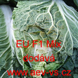 Pekingsk&eacute; zel&iacute; hybridn&iacute; soudkovit&eacute; EU F1 Mix